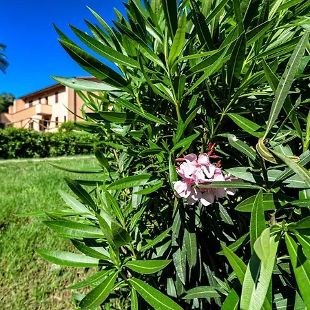 Bilocale Rio Elba Rio nell'Elba